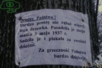 Bieszczadzki Przewodnik "Nieodkryte Bieszczady", Krzyż w Rabem