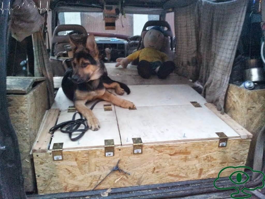 Jaki namiot w Bieszczady? Land Rover