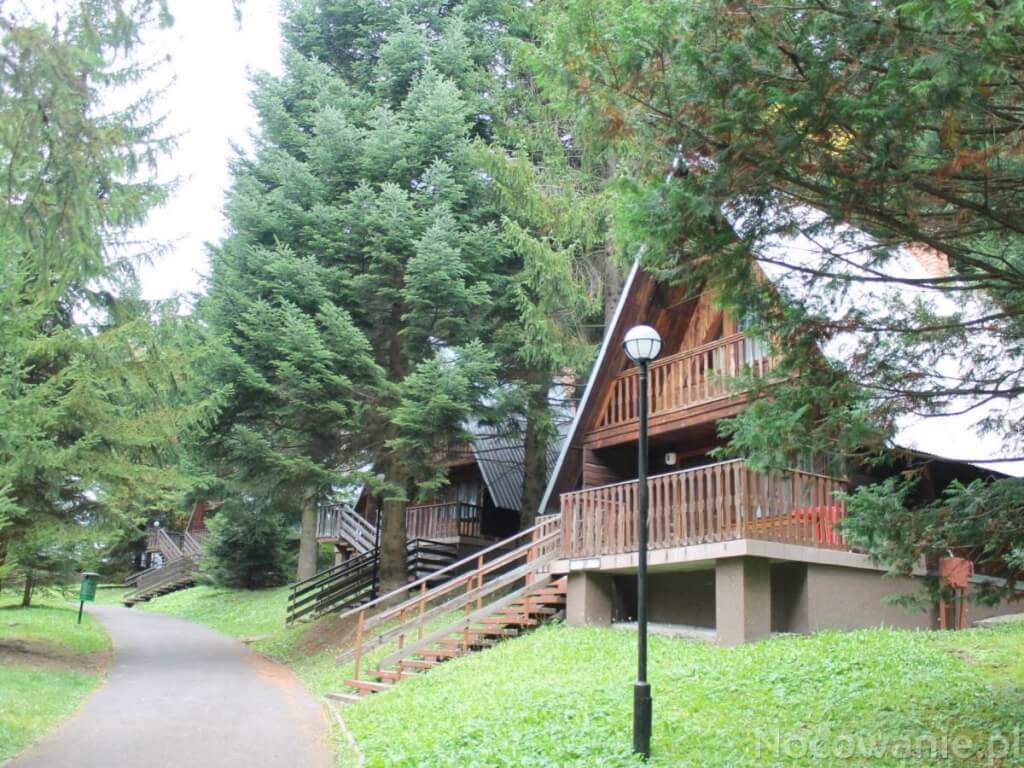 Gdzie w Bieszczady Wisan Gdzie w Bieszczady Wisan