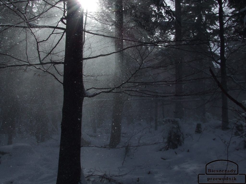 Cisza, która nie jest ucieczką Cisza, która nie jest ucieczką