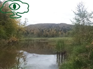 Samochodowy szlak Bieszczady wg Barnaby. Pk 6 Jeziorko Bobrowe na Huczwicach Samochodowy szlak Bieszczady wg Barnaby. Pk 6 Jeziorko Bobrowe na Huczwicach