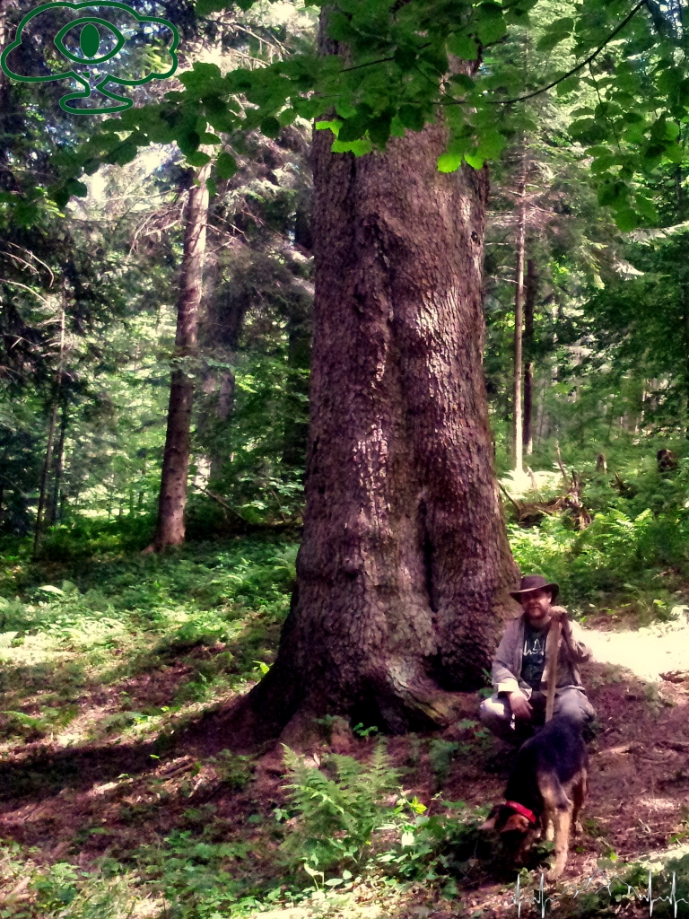 Samochodowy szlak Bieszczady wg Barnaby. Pk 2 Lasumiła Samochodowy szlak Bieszczady wg Barnaby. Pk 2 Lasumiła