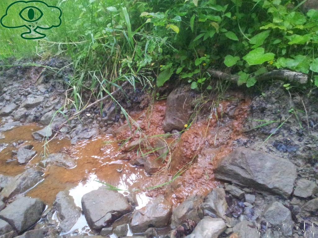 Samochodowy szlak Bieszczady wg Barnaby. Pk 2 Lasumiła Samochodowy szlak Bieszczady wg Barnaby. Pk 2 Lasumiła