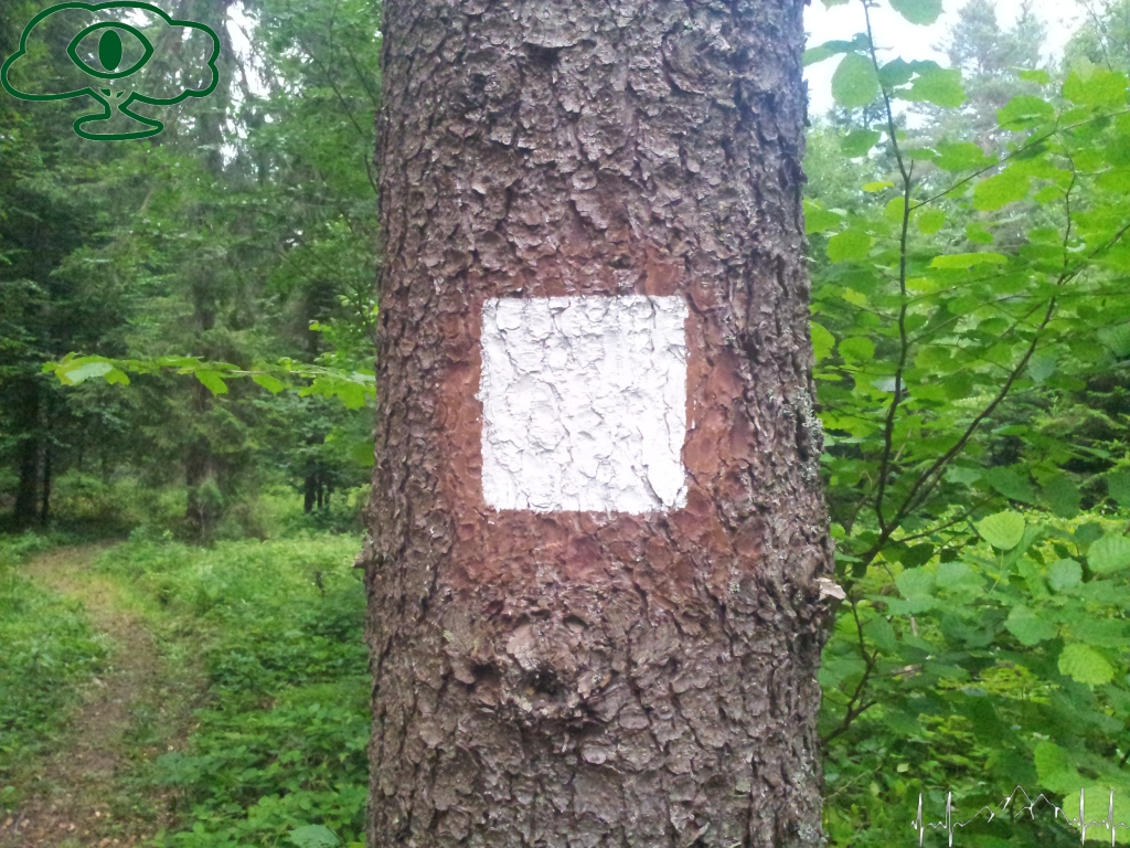 Samochodowy szlak Bieszczady wg Barnaby. Pk 2 Lasumiła Samochodowy szlak Bieszczady wg Barnaby. Pk 2 Lasumiła