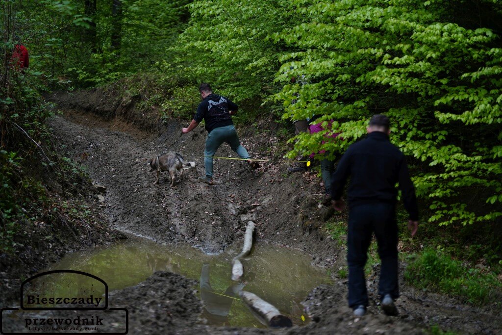 Rajd Bieszczady według Barnaby 